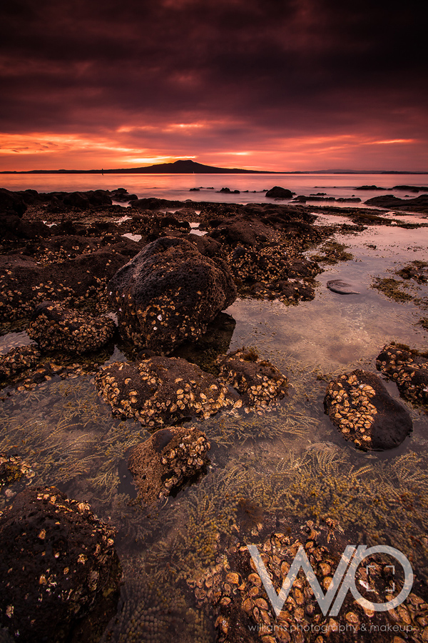 Rangitoto Red Sky Sunrise