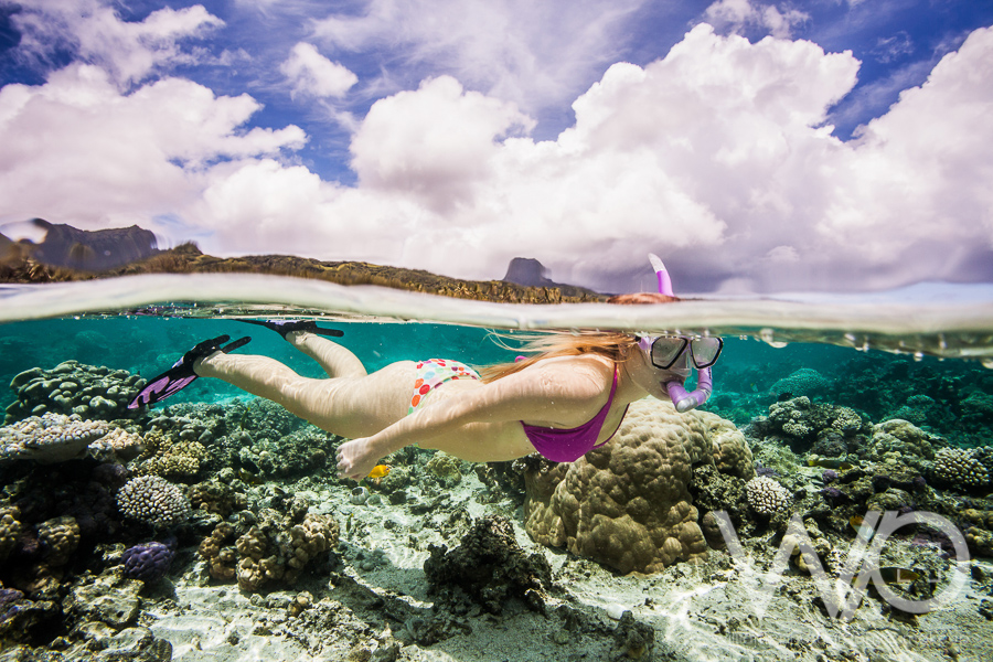 Cook Islands snorkelling