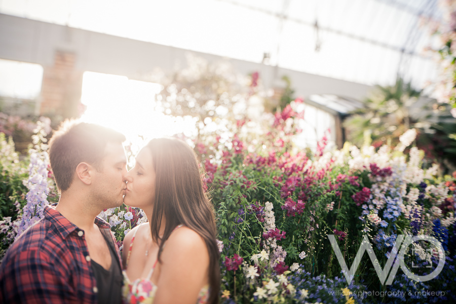 Auckland Engagement Photographer Winter Gardens