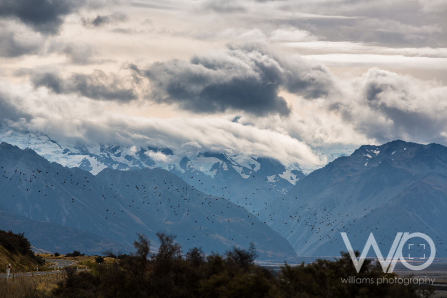 Lake Pukaki Mt Cook