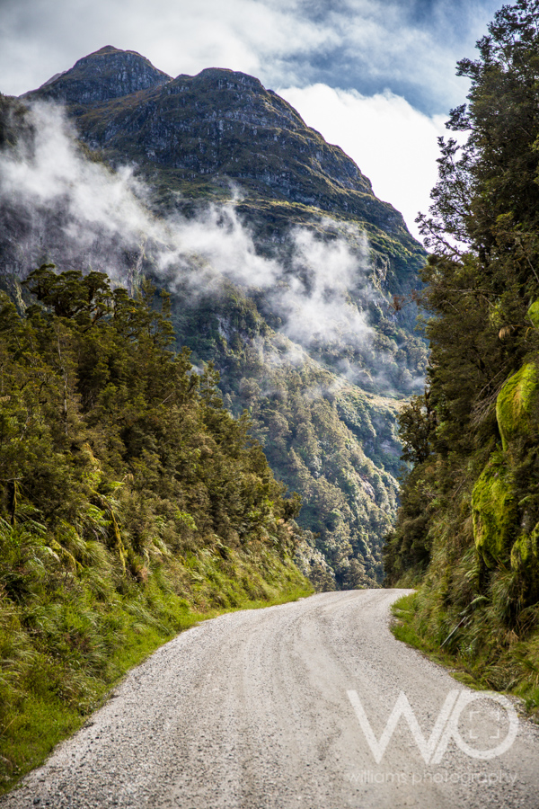 Road to Doubtful Sound