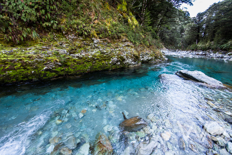Routeburn Track Clear Water